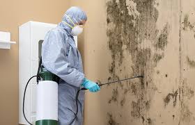 Mold Documentation for Insurance Claims in Mehlville, MO